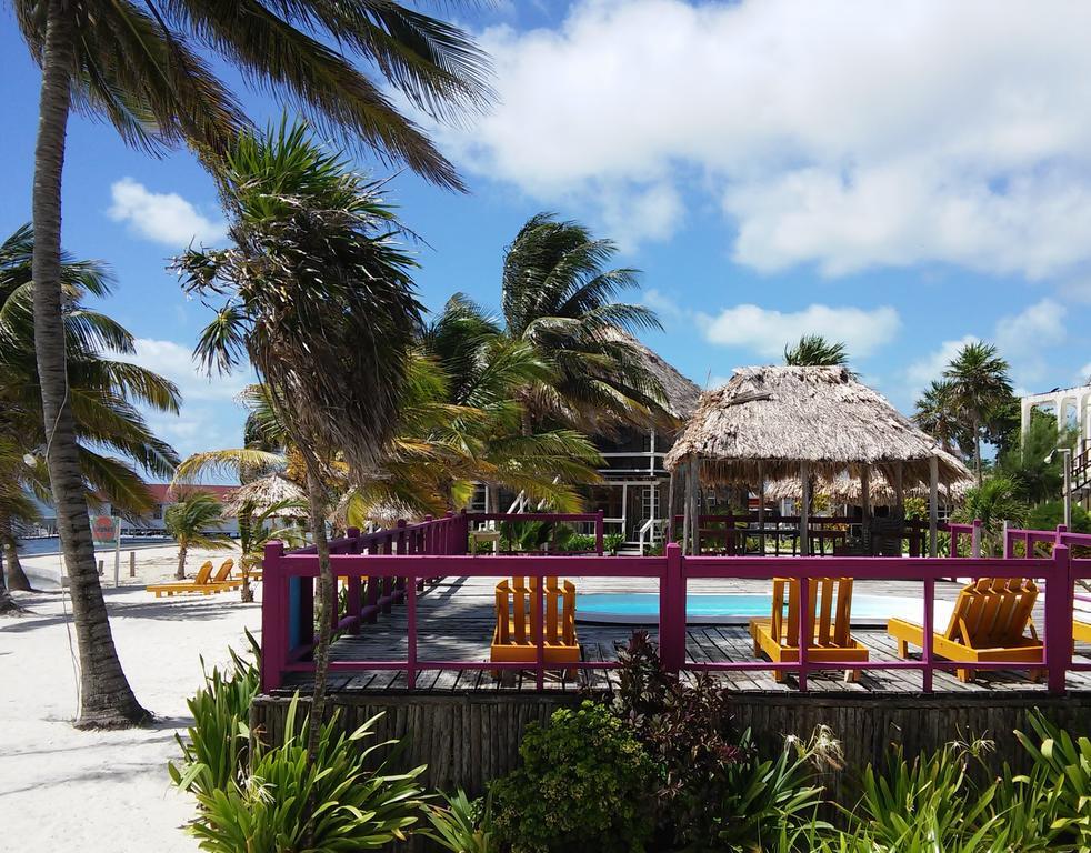 Exotic Caye Beach Resort San Pedro  Buitenkant foto