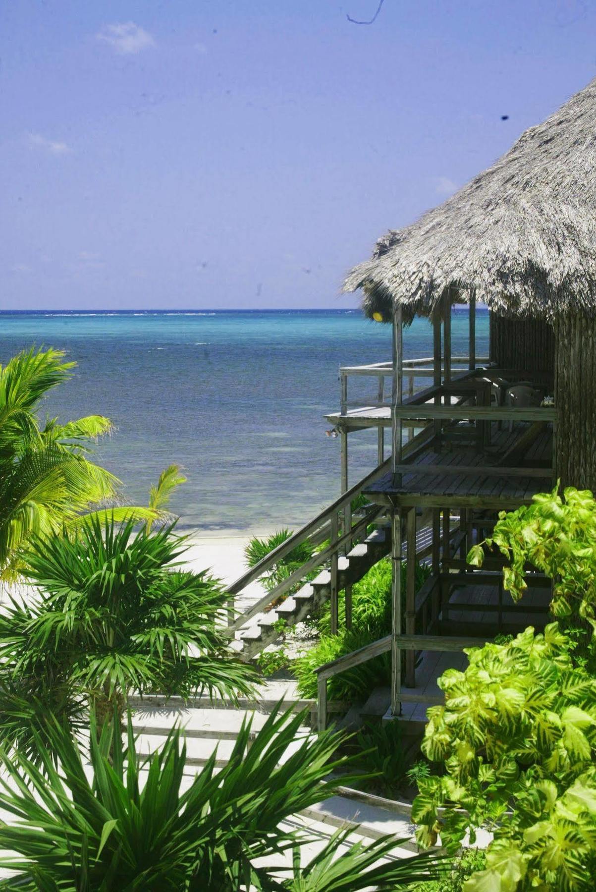 Exotic Caye Beach Resort San Pedro  Buitenkant foto