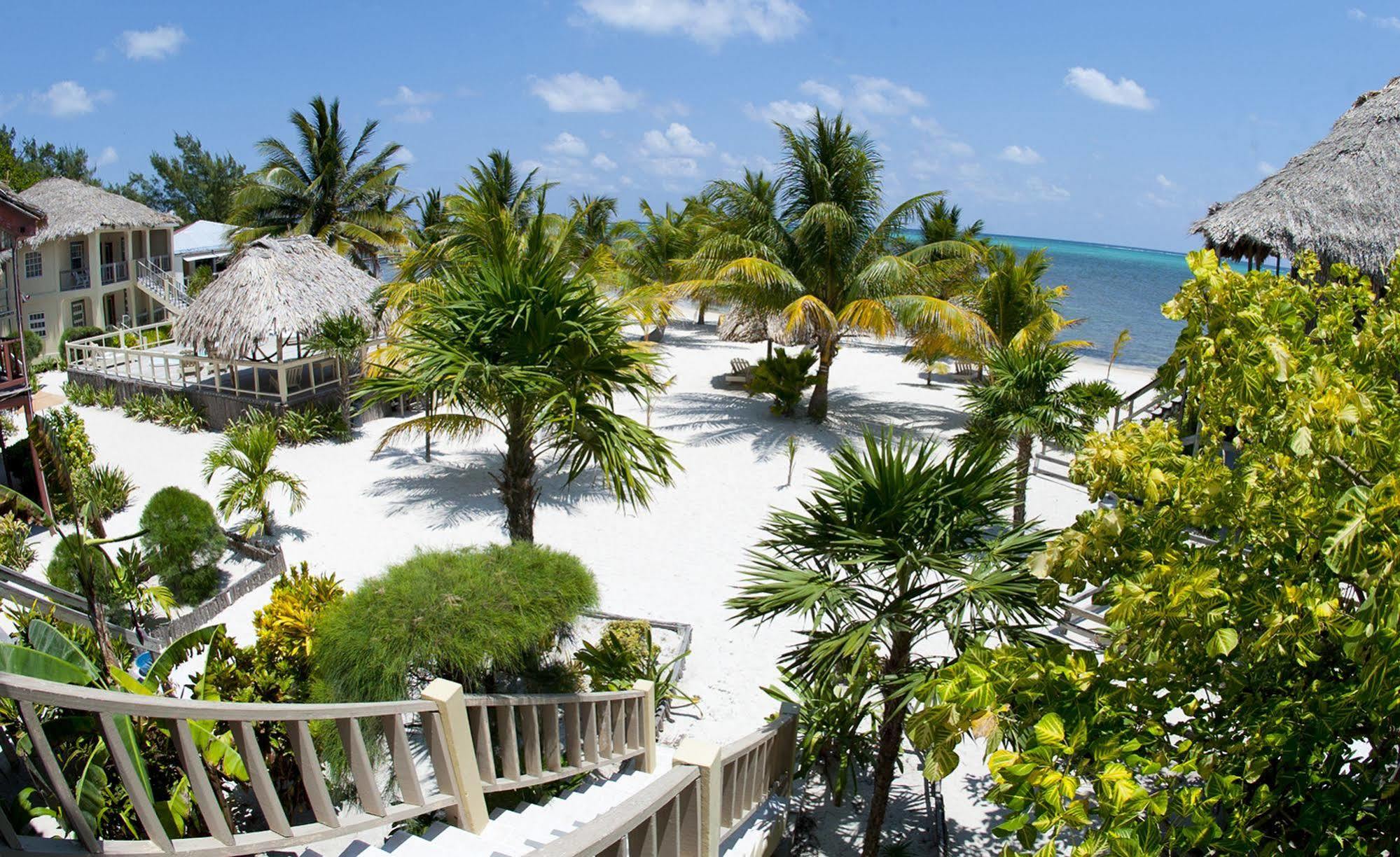 Exotic Caye Beach Resort San Pedro  Buitenkant foto